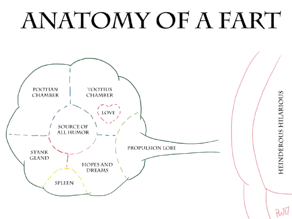 Science of Farts